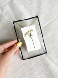 4x6 queens anne’s lace