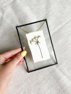 4x6 queens anne’s lace