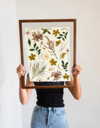 Meadow Study