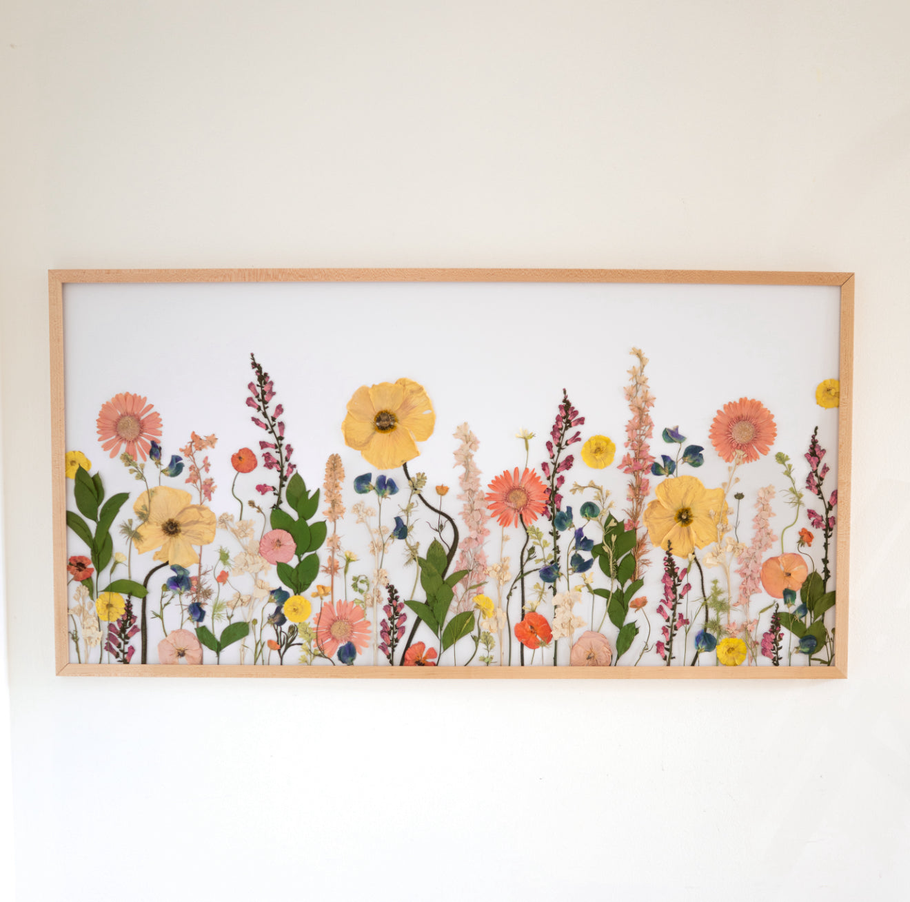 Wild Gardens