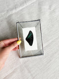 4x6 black butterfly