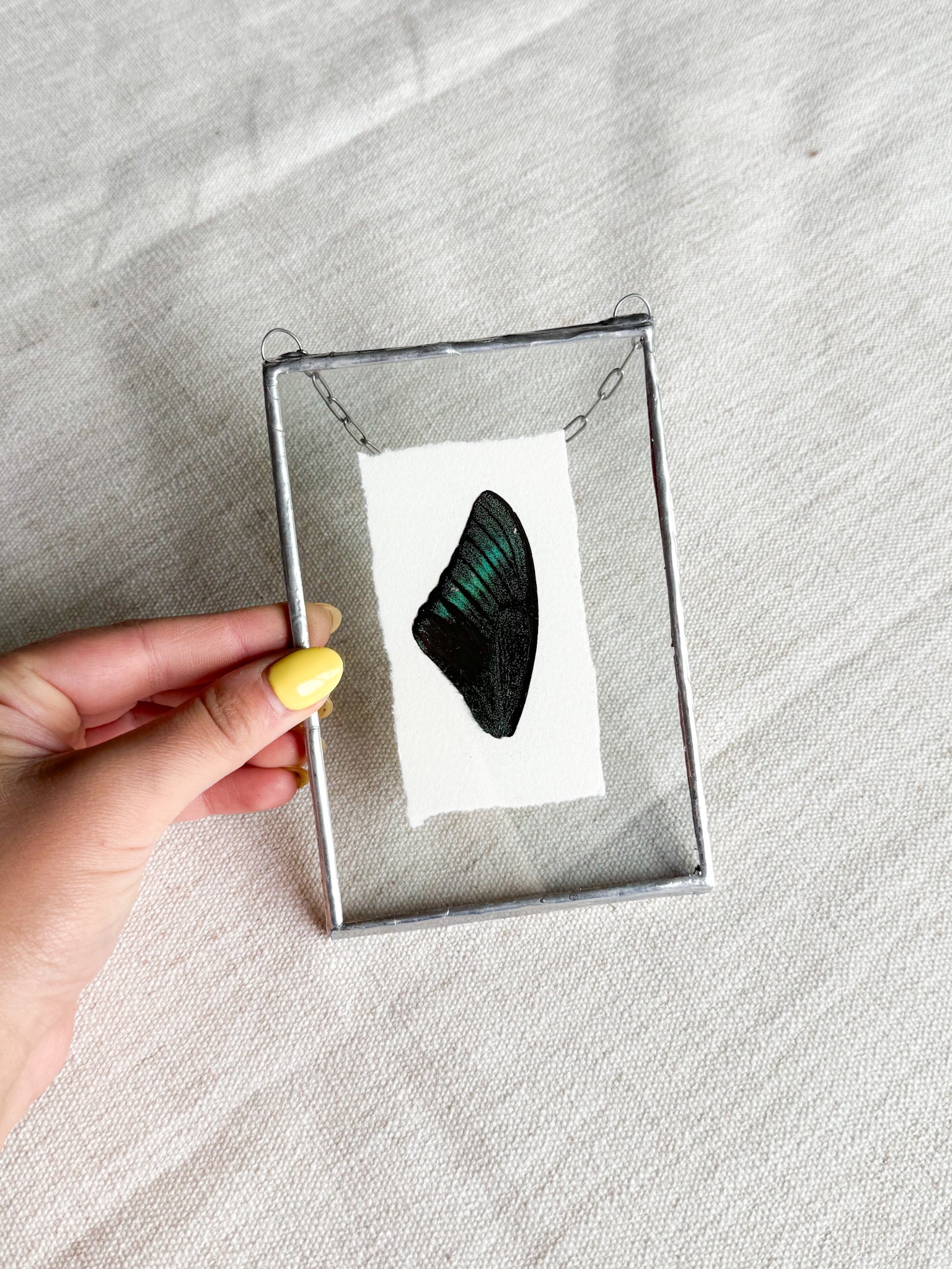 4x6 black butterfly