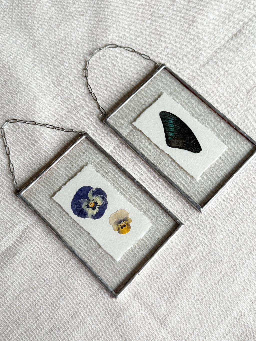 4x6 black butterfly
