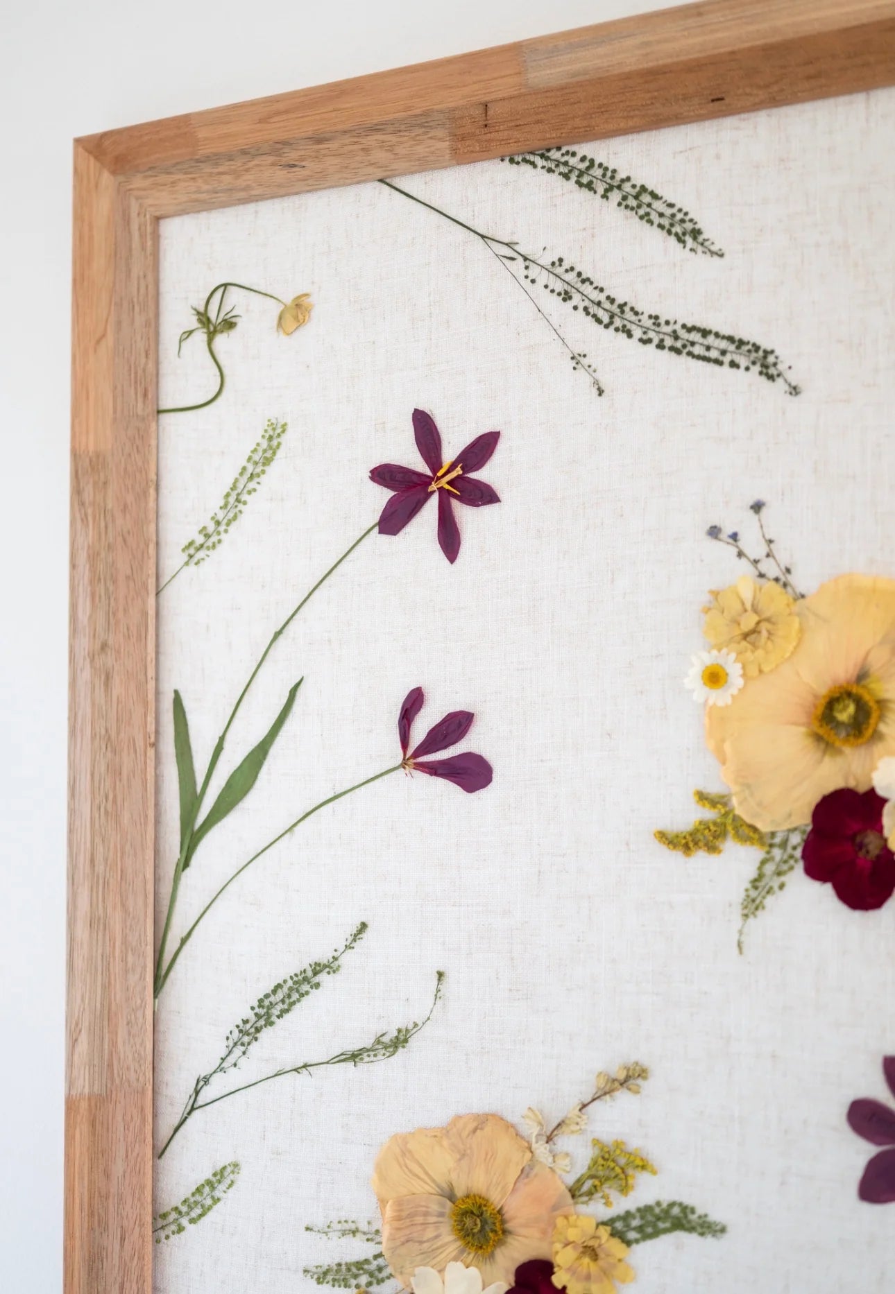 Whimsical Meadow